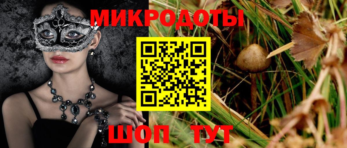 Псилоцибиновые грибы Magic Shrooms  что такое наркотик  Вход с VPN  Анжеро-Судженск  Галлюциногенные грибы Psilocybe 